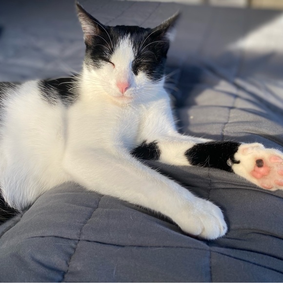 Meet your Posher, Rebecca - Picture 4 of 8